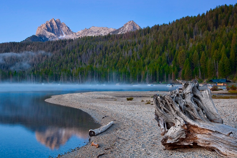 Along the Shore