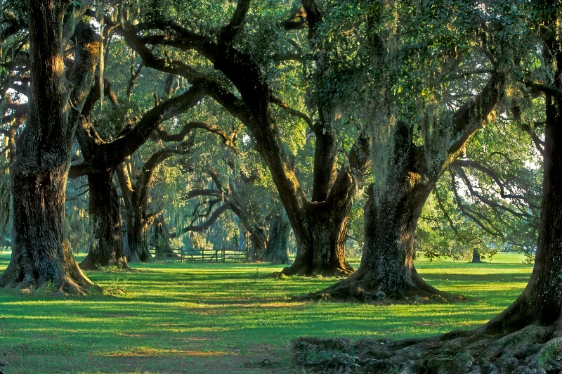 Grand Coteau, Louisiana