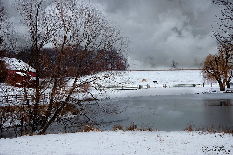 Winter Farm