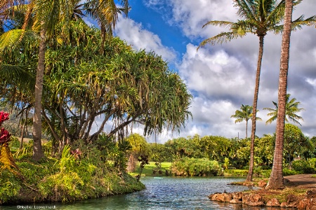 Maui Tropical Plantation