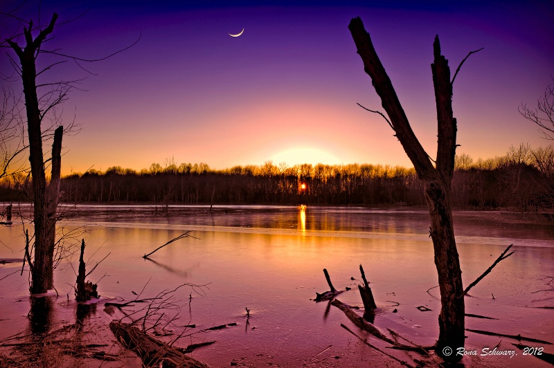 Moon Over the Bog