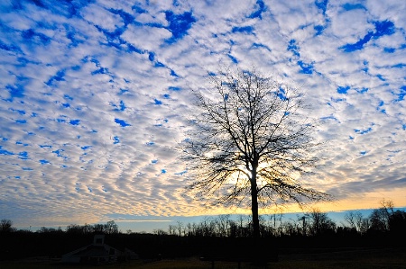 Centennial Skyscape