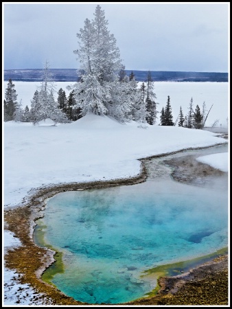 Black Pool Geyser Basin