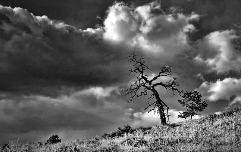 Approaching Storm