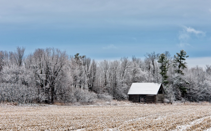 First snowfall