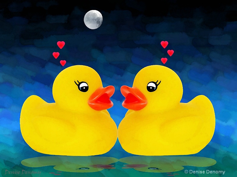 A DUCKY VALENTINE