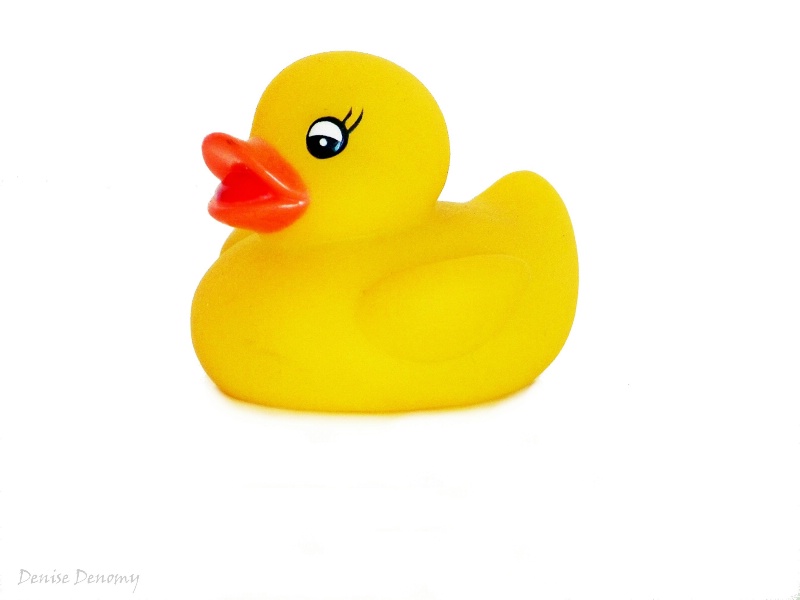 Rubber Ducky