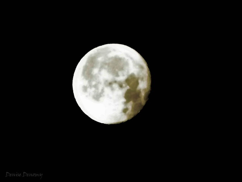 Waning Moon 02/09/12