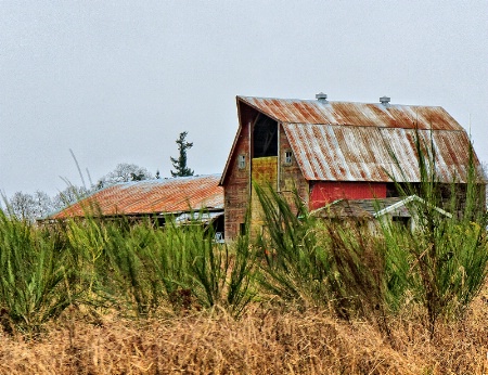 Washington State Barn