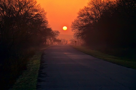 Morning Drive