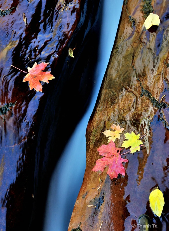 The Crack at Subway, Zion National Park