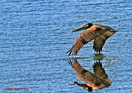 Take-Off