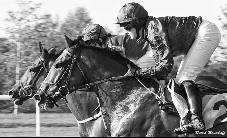 A Day at the Races