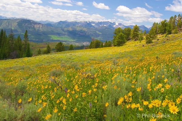 Beartooth Pass - ID: 12816791 © Phil Burdick