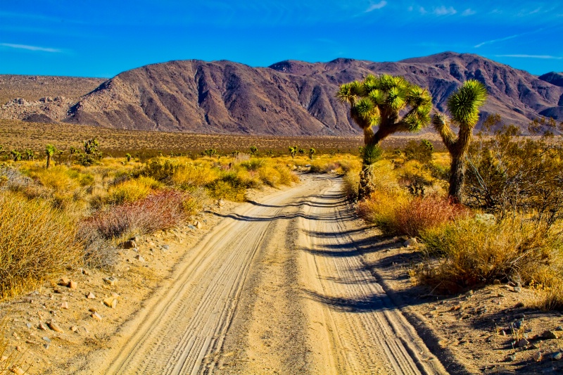 Geology Tour Road