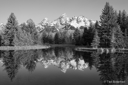 Schwabacher Landing