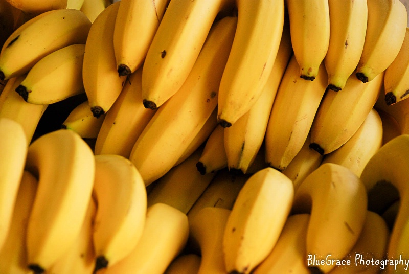 bananas-0136
