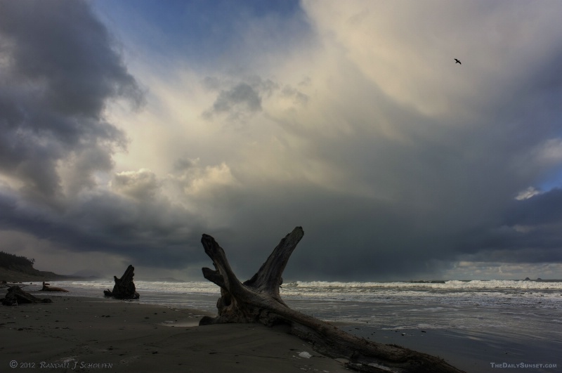 Stormy Coast