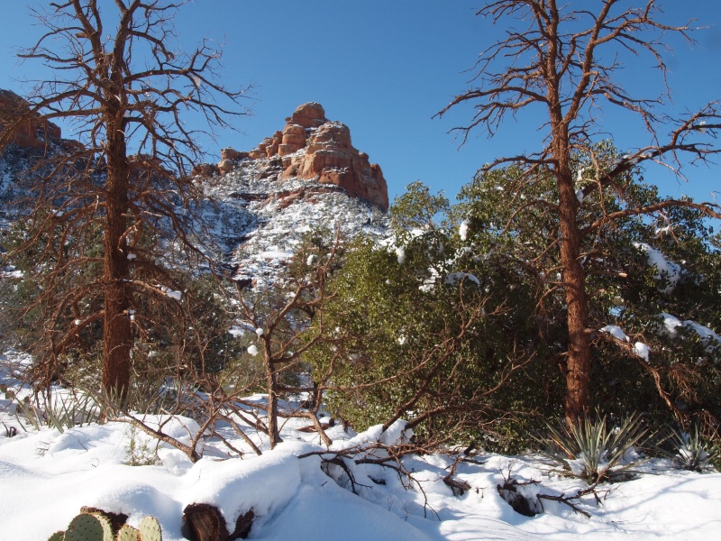 Oak Creek Canyon