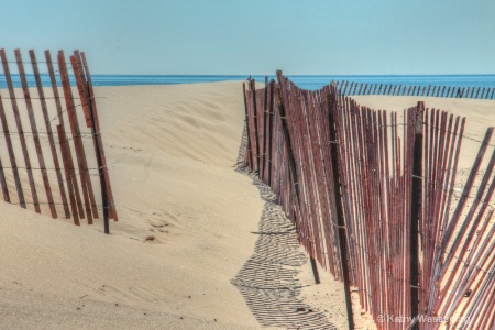 Beach Fencing