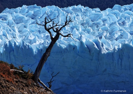 Perito Moreno Glacier