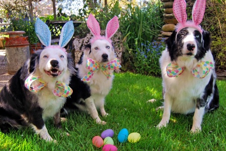 Happy Easter