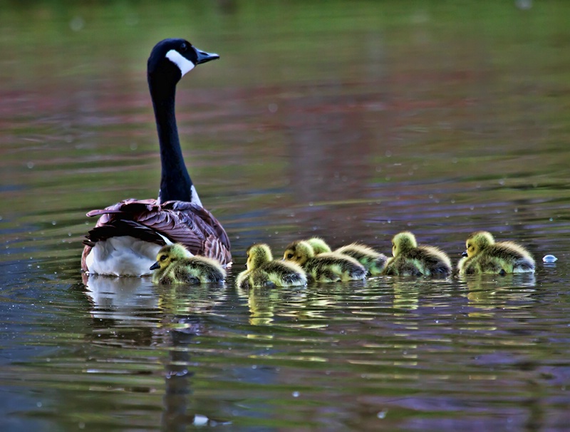 First Day With Mom