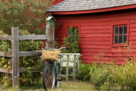 Bike Stop