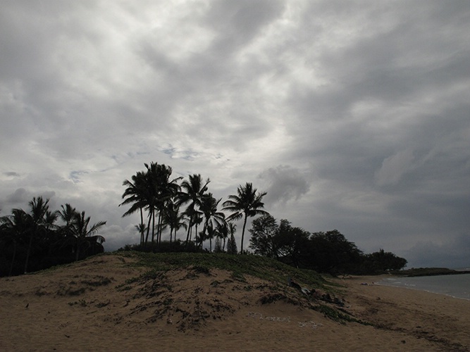 Stormy Day