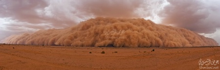 Desert Storm