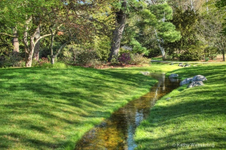 Woodland Stream