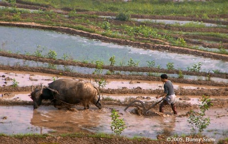 Muddy work