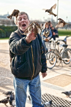 Feed the Birds