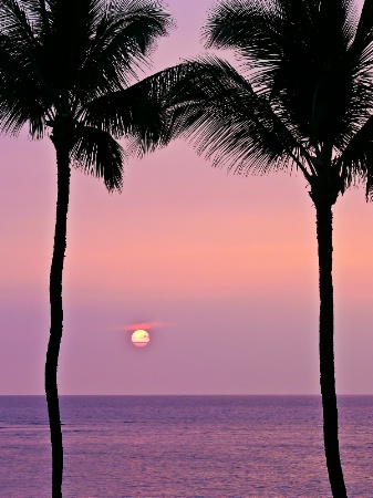 Watching the Sunset, Hand in Hand