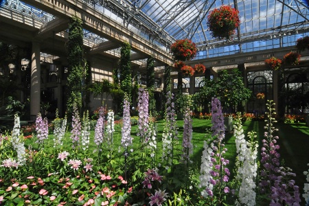 Longwood Garden spring