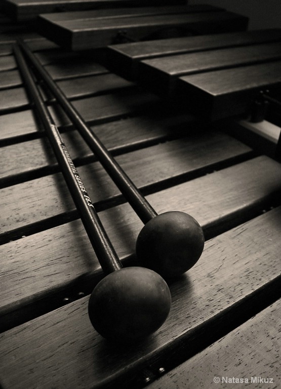 xylophone