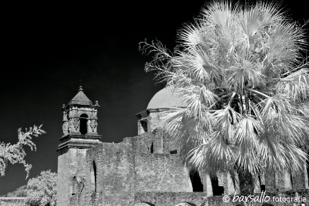 Mission San Jose 6