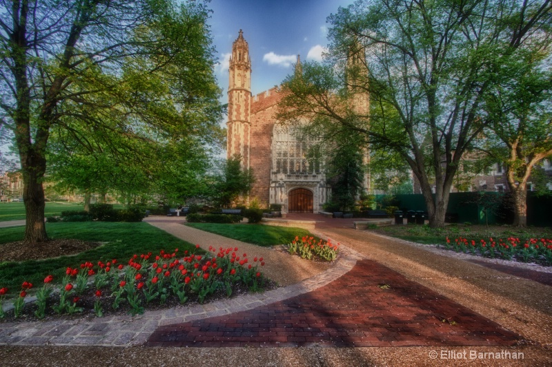 Washington University 4 - ID: 12944933 © Elliot Barnathan