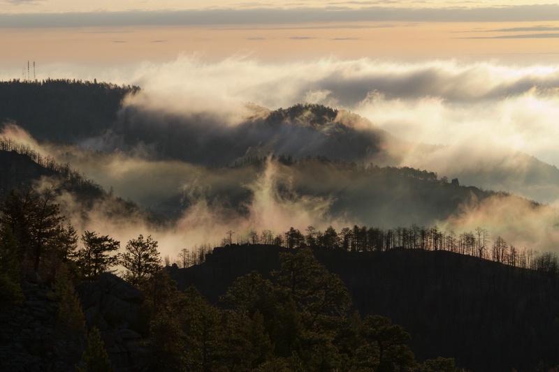 Morning Fog