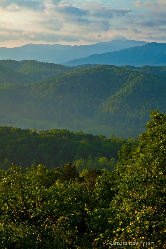 Smoky Mountain NP www.lovesmephoto