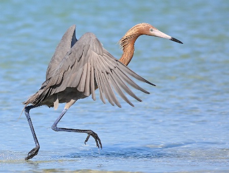 Walking on Water