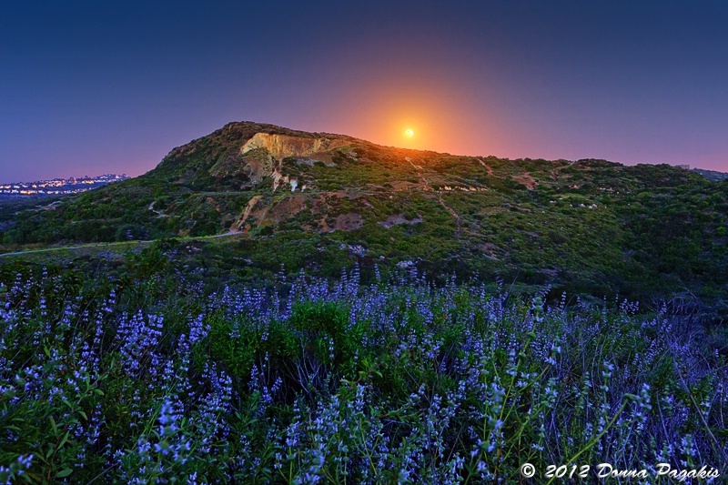 Perigee Moon at Lake Calavera Preserve 