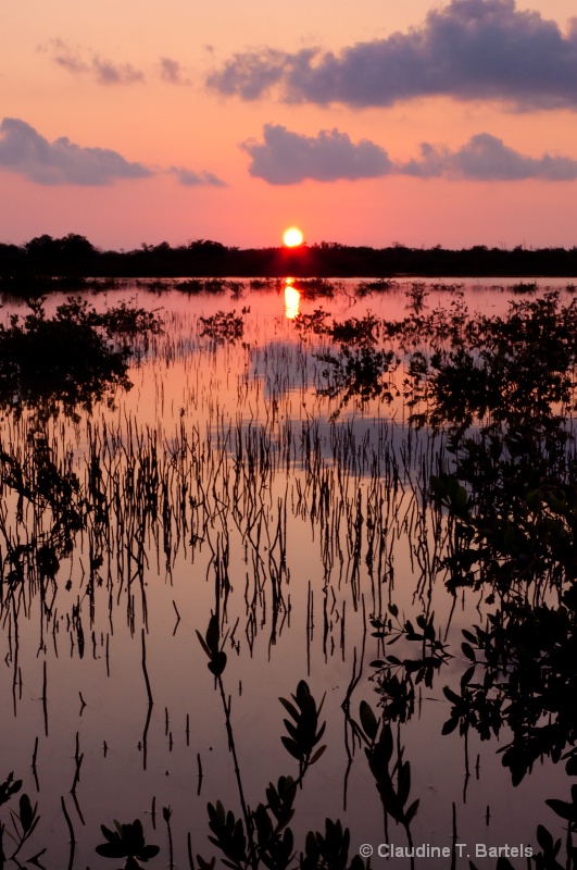 Sunset on the saltmarsh