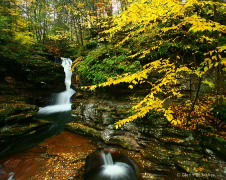 Autumn at Adams Fall 