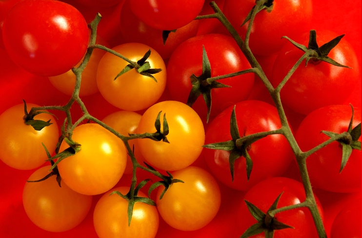 Tomatoes