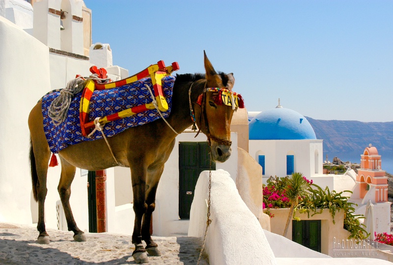 Santorini Taxi