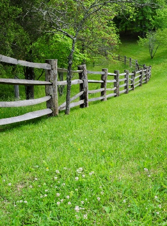 Bent Fence