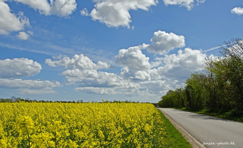 Danish colors in May