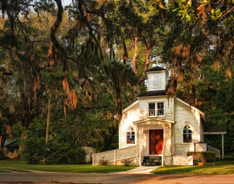 Under the Spanish Moss