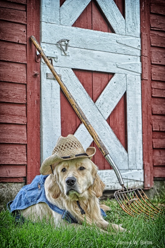 Farmer Marley